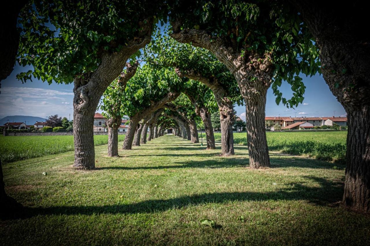 Villa Minini Bed & Breakfast Rive d'Arcano Exterior foto
